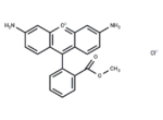 Rhodamine 123