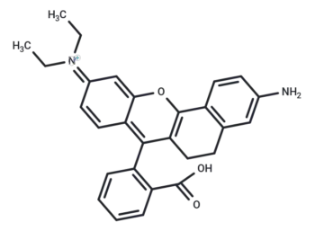 CP-4
