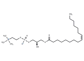 1-Palmitoleoyl-2-hydroxy-sn-glycero-3-PC
