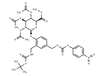 β-Glu-PNP