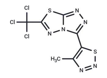 YZK-C22