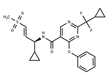 WRN inhibitor 8