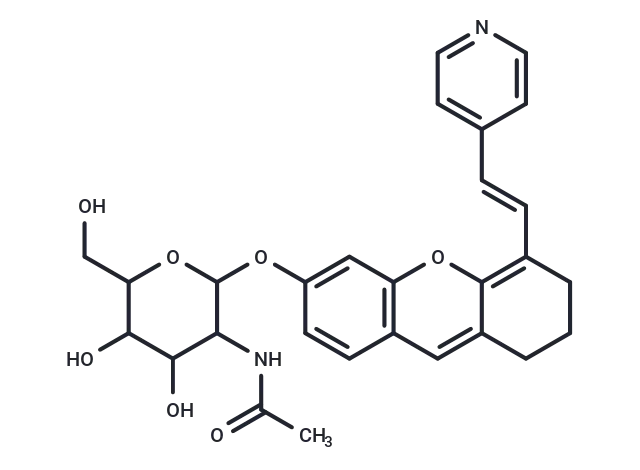 PNE-Lyso CgoaEGbYFXSEHee AAAAAHy jEY662- Immunomart