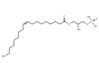 1-Oleoyl Lysophosphatidic Acid