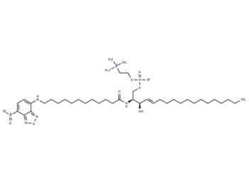 C12 NBD Sphingomyelin
