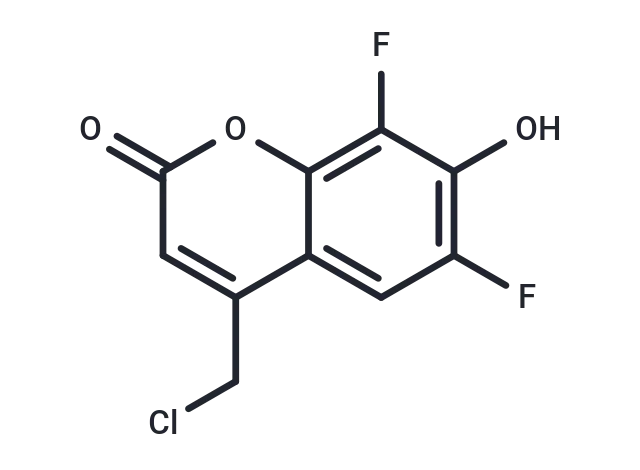 CellTracker Blue CMF2HC Dye