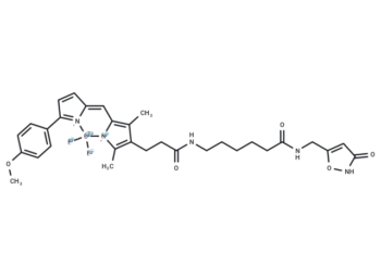 Bodipy TMR-X muscimol