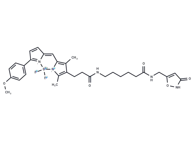 Bodipy TMR-X muscimol