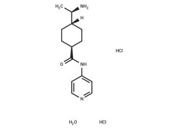 Y27632 HCl hydrate