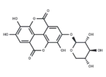 Ellagic acid 4-O-β-D-xylopyranoside
