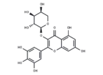 Myricetin 3-O-α-L-arabinopyranoside