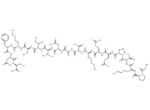 Protein Kinase C β Peptide