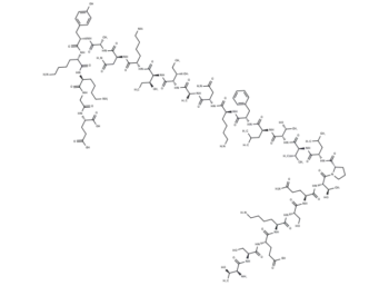 β-Endorphin (6-31), human