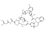 Tutuilamide A