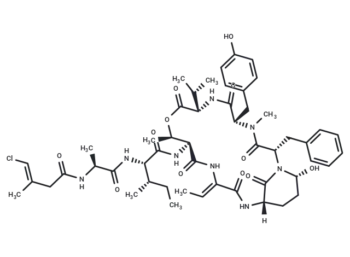 Tutuilamide A
