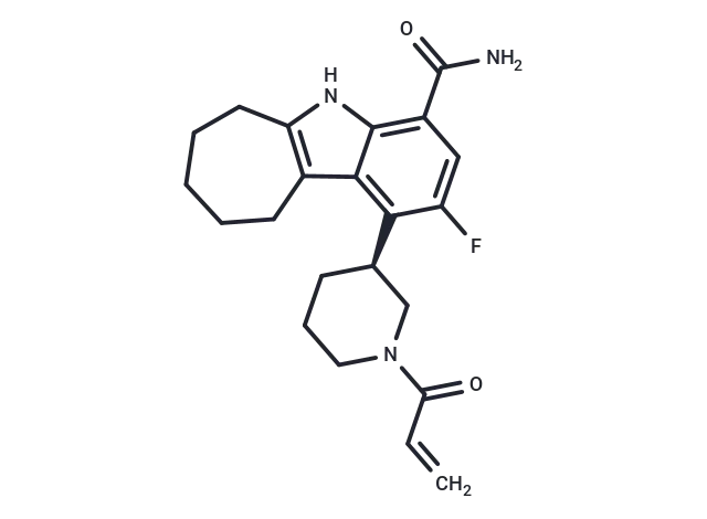 Cinsebrutinib