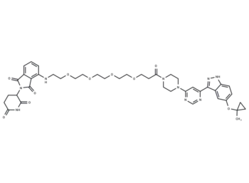 JH-XII-03-02