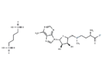 S-Adenosyl-L-methionine (1