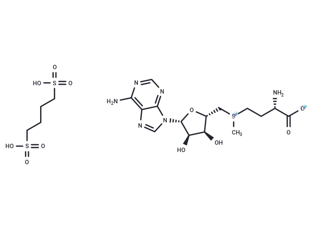 S-Adenosyl-L-methionine (1