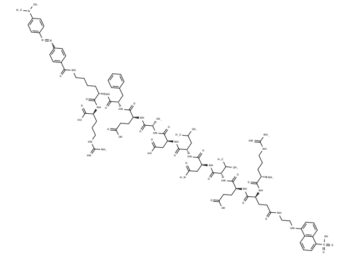 RE(EDANS)EVNLDAEFK(DABCYL)R