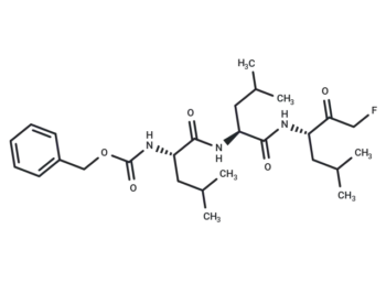 Z-Leu-Leu-Leu-fluoromethyl ketone