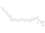 Ac-AAVALLPAVLLALLAP-LEHD-CHO