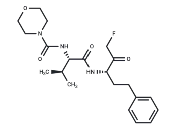 Calpain inhibitor V