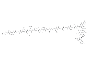 Azurin p28 peptide