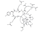 α-Conotoxin RgIA