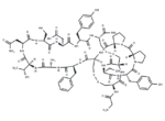 α-Conotoxin AuIA