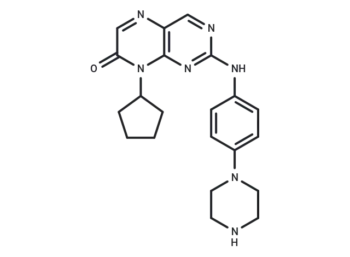 YY173