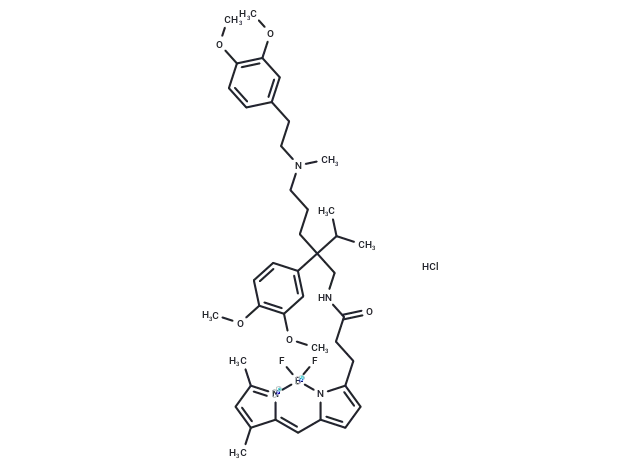 BODIPY FL Verapamil hydrochloride CgoaEGbkG0 EE ZtAAAAABswc6c600- Immunomart