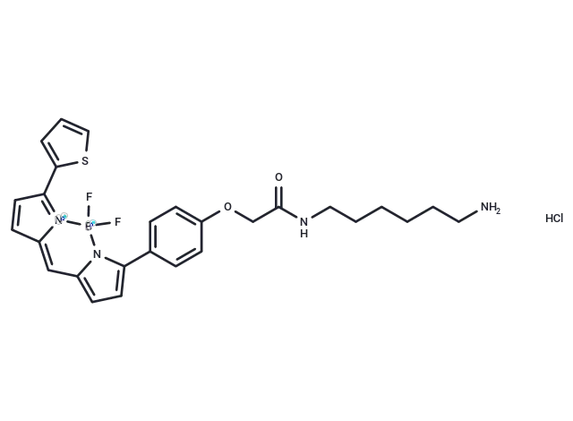 BDP TR amine hydrochloride BDP TR amine hydrochloride