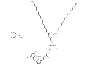 BODIPY FL-DHPE