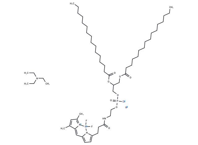 BODIPY FL-DHPE CgoaEGbkG1CEA5wcAAAAAC0bskU721- Immunomart