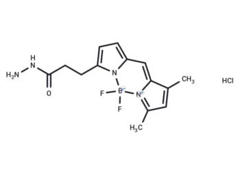 BODIPY FL hydrazide hydrochloride