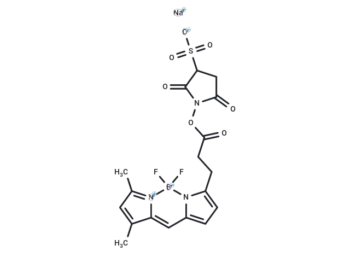 BODIPY FL SSE