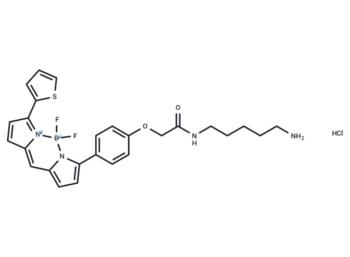BODIPY TR Cadaverine