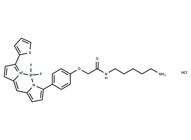 BODIPY TR Cadaverine CgoaEGbkG1mEP9FMAAAAAJfBd A373- Immunomart