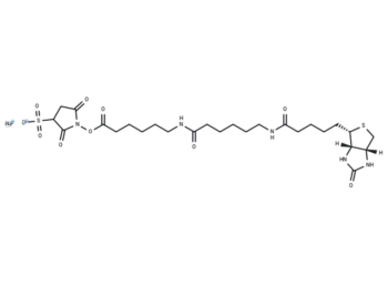 Sulfo-NHS-LC-LC-Biotin