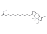 BODIPY FL C12