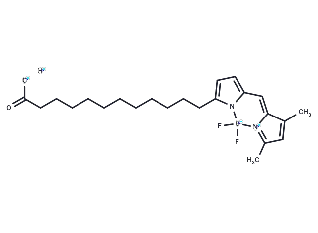 BODIPY FL C12 CgoaEGbkG1uEOYNZAAAAAFkR8hs715- Immunomart