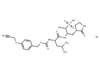 Mpro ligand 2