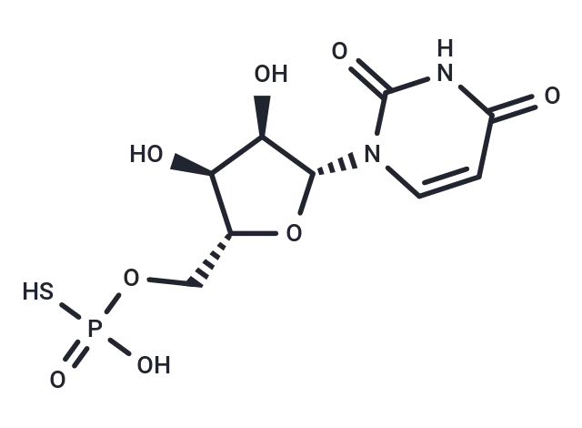 5'-UMPS CgoaEGbkG8GEbNCTAAAAAFj3jvw345- Immunomart