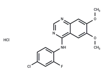 ZM-306416 hydrochloride