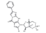 Sp-8-Br-PET-cGMPS