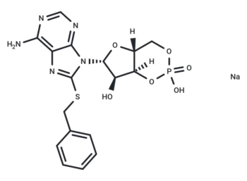 8-Benzylthio-cAMP