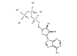 ATP-γ-S tetrasodium