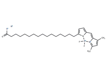 BODIPY FL-C16