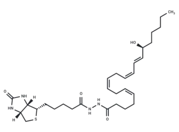 15(S)-Hete-biotin